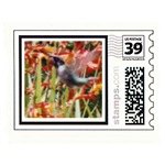 Custom US Postage - Exclusively at Art by Cathie http://www.cafepress.com/artbycathie
