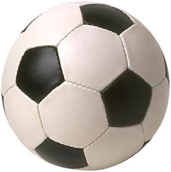 Soccer Ball - A common soccer ball