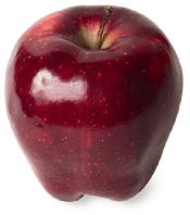 apple - red apple