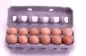 a dozen eggs - we buy our eggs at the store and soon we shall have our own to collect and maybe enough to sell