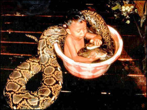 Baby With Python - Baby With Python