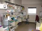 Laboratory - I work in a lab and work mainly with human blood-donated for research purposes. 