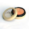 concealer - concealer, a make up used to hide ugly spots