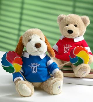Teddy Bear  - Ya i have brought Teddy Bear and gifted to my friend on her birthday. A huge teddy bear.