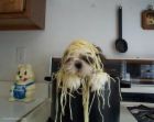 i love pasta! - what's your favorite?