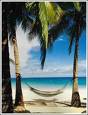 tropical - island life