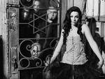 amy - lee