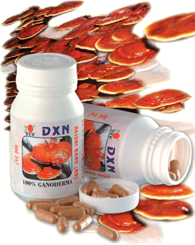 DXN Ganoderma - the best Ganoderma in the world - The best Ganoderma or Red Mushroom in the world is grown and processed in DXN International's own farm and factory in Malaysia. Ganoderma, or Lingzhi in Chinese pharmacopaeia, is used in helping the body to expel toxins and aid in rebuilding and rejuvenating body organs and systems. Ganoderma is found in DXN products like food supplements, health drinks and body care products.