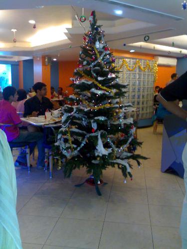 Xmas Tree - for wishing Happy 25th December...