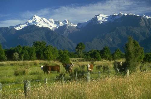 may i go 4 outing??? - this is a photo of a good picnick spot