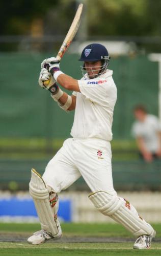 playing cricket - cricket