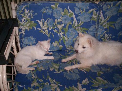 best friends! - These are our pets! Best friends for life!