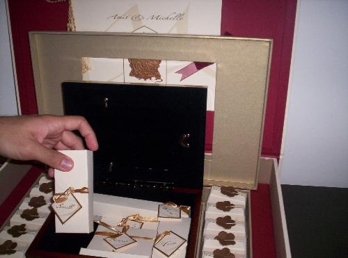 $100 wedding invitation! - Would you believe that this wedding invitation cost $100 each!
