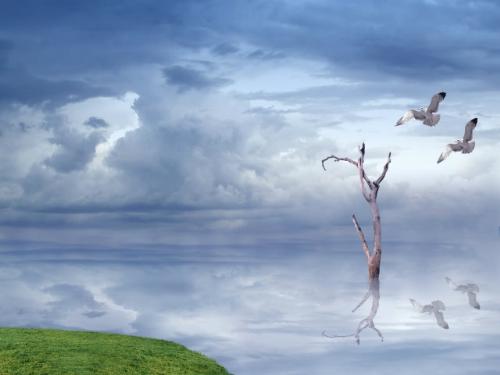 .... - Beautiful Picture