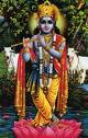 Lord Krishna - Lord Krishna