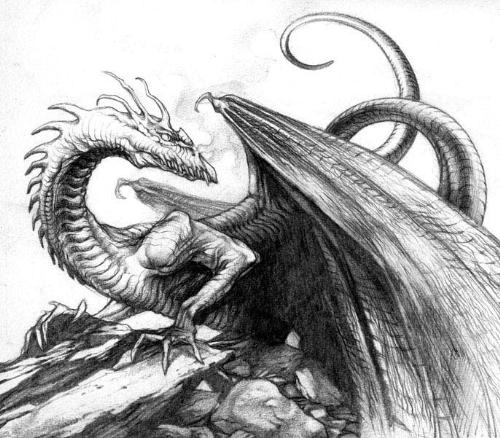 Dragon - A dragon