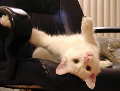hanging in there - Hang in there