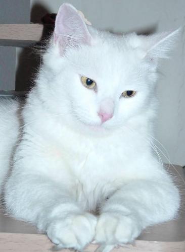 so serene - so regal
