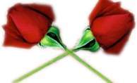 expression of love - ...best way to express love...