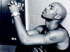 dmx - Dark Man X the best singer ever!!!