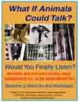 What if Animals could talk? - I long to understand the critter world. They would have some pretty neat things to say and I believe their honesty would be profound