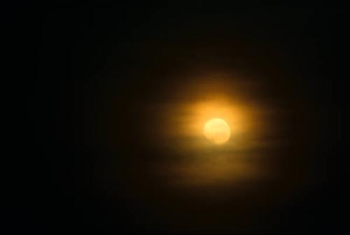 darkness... - nature picture