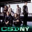 csi: ny - CSI: NY bores me to tears!