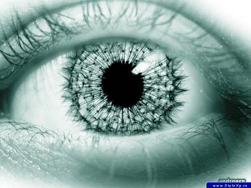 eye - coolest eye in the world