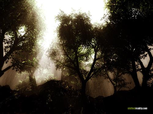 Darkness and Light - Darkness and light...beauty of nature