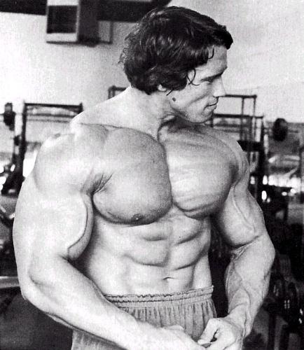 Arnold Schwarzneger - Arnolf Schwarzenegger, the terminator