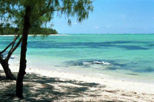 beautiful Mauritius - Beautiful Mauritius..i want to visits it...