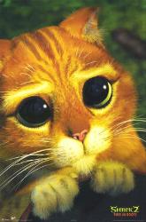 Please forgive me - Please forgive me! Please forgive me - Please forgive me!