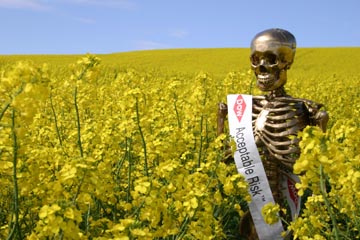 risky skeleton - Riskk
