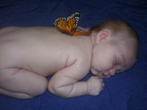 alethea  - My baby with a butterfly