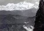 Kanchenjunga from Darjeeling  - Kanchenjunga from Darjeeling