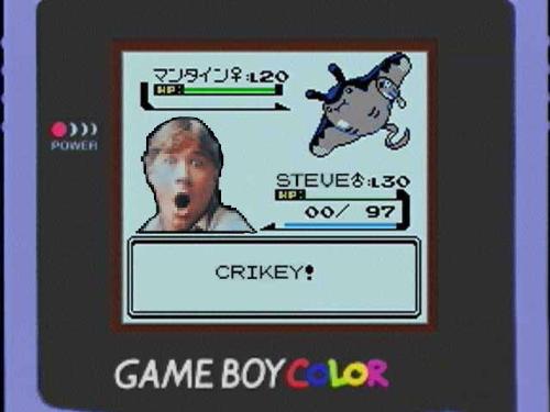 Steve Irwin - Steve Irwins Cameo In Pokemon