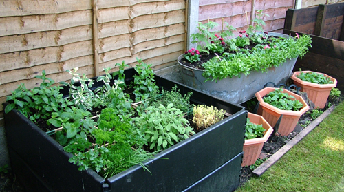 Garden - Home Garden