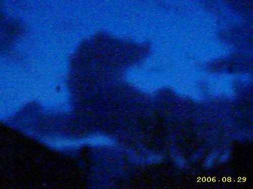 Is it a cloud or a dinosaur - Do you look at clouds and see something else appearing. I take photographs of interesting clouds. 'Cloud Spotter'  Not as crazy as it sounds, predictions where made many years ago on similar readings.