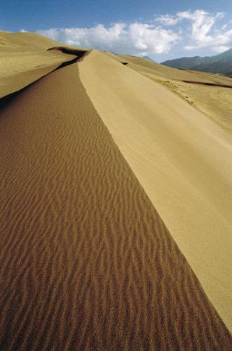 sahara... - desert