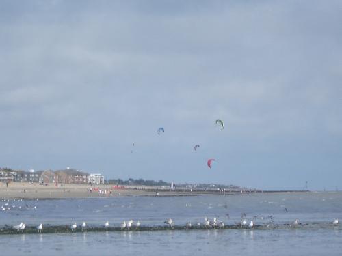 Kites at Littlehampton - A very windy day... there were lots of kites being flown from Littlehampton Beach.