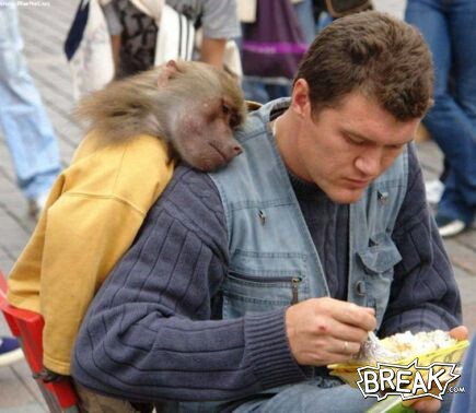 brotherhood - brotherhood between humans and animals