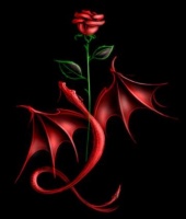Roses are Red - Simply Roses