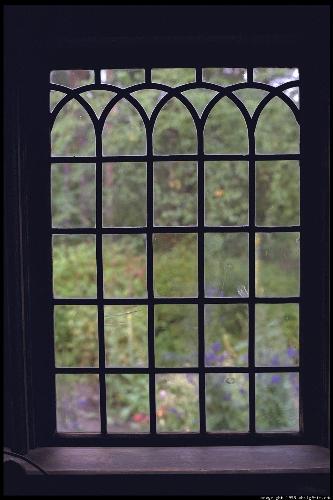 window - throught window