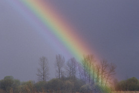 Rainbow of promise - Rainbow: promise of God