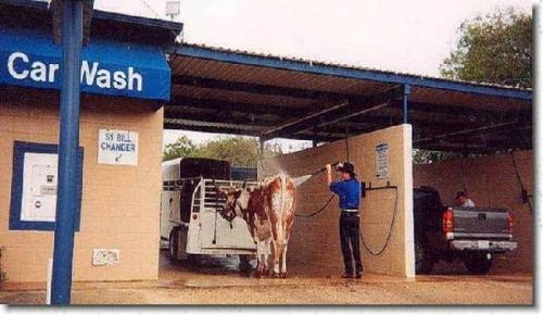 Only In Texas - Funny !