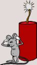 firecracker, noisy, cracker - firecracker, explosion, fireworks