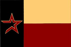 Texan Flag With Astros Logo - National Pride baby!! I am maxed out with jingoism!