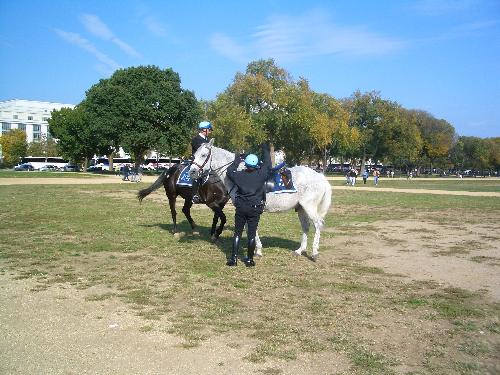 Washington DC Police - Washington DC police on horseback
