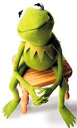 Frog - Do you like this frog?