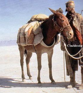 The postman movie - Kevin Costner with a mule in the movie The postman